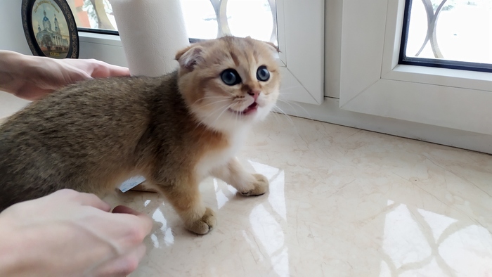 А покушать дадут?