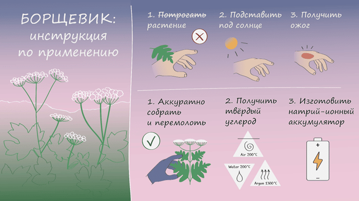 ���������� ������ ������������ �������� ��� �������� ������-������ �������