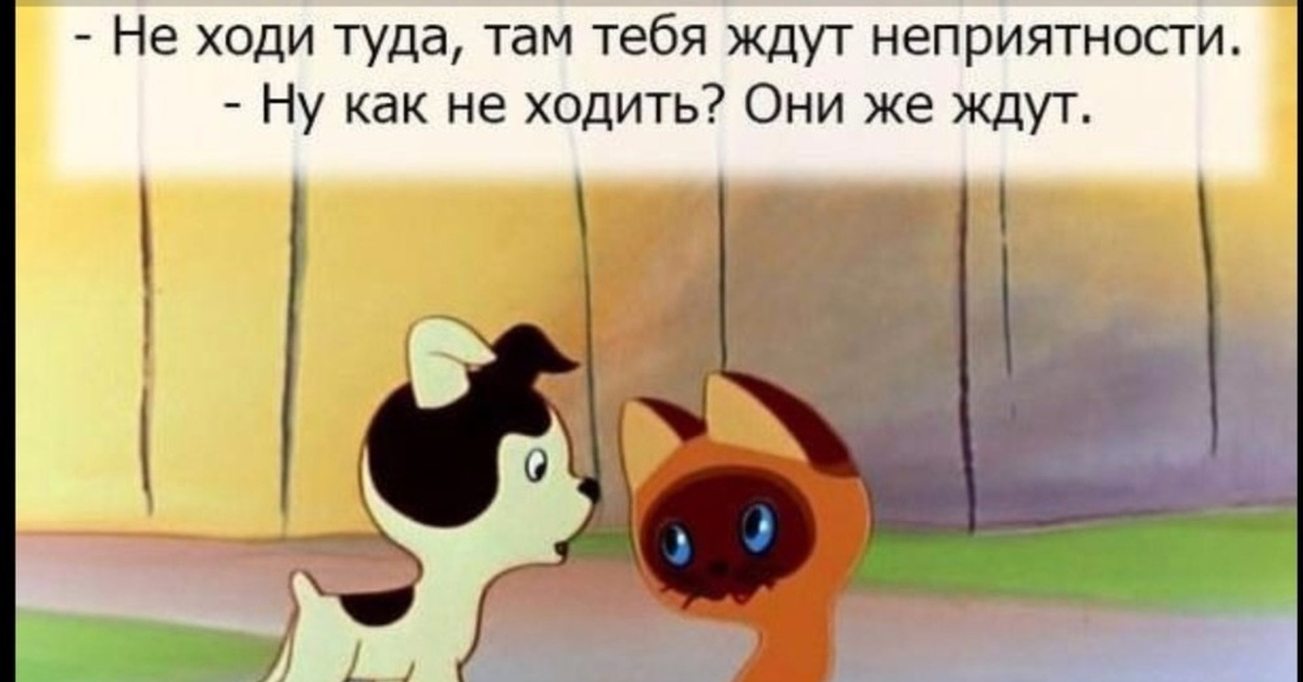 Этого героя мультфильма звали мяу. Котенок Гав неприятности. Котенок по имени Гав Советский мультфильм.