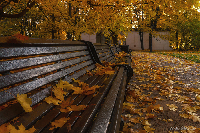 Осеннее Фотография, Осень, Скамейки, Осенние листья