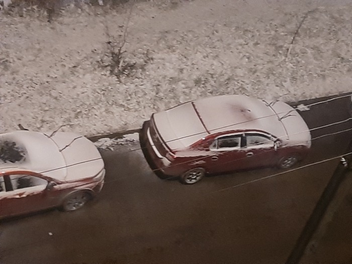 Всем бы таких соседей!