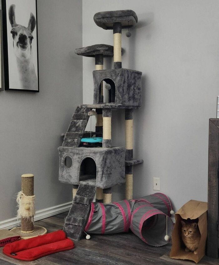 Нам дворцов заманчивые своды...