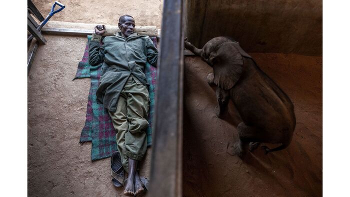 ������ ������� ������ �������. 3)������� �����