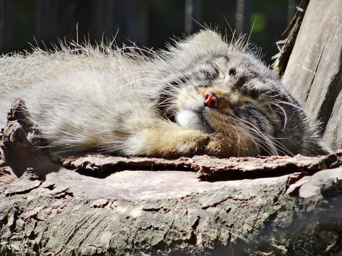 Кое что сказать