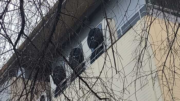 ����� ��������� ��������� �� Nvidia