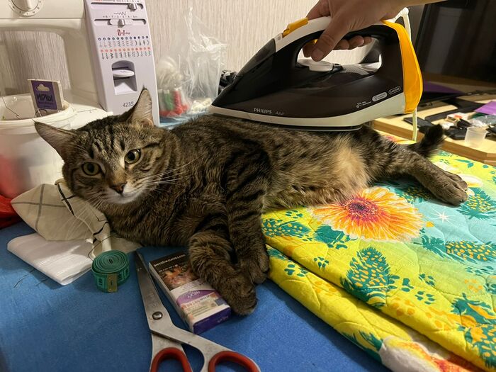 �� �������� ���� - �� ����������