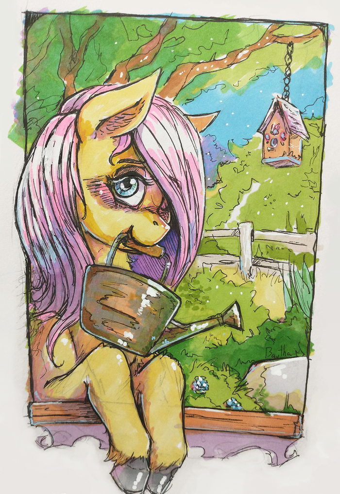   My Little Pony, Fluttershy