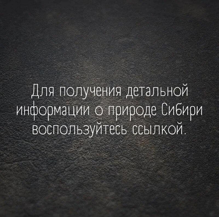 Ссылка | Пикабу