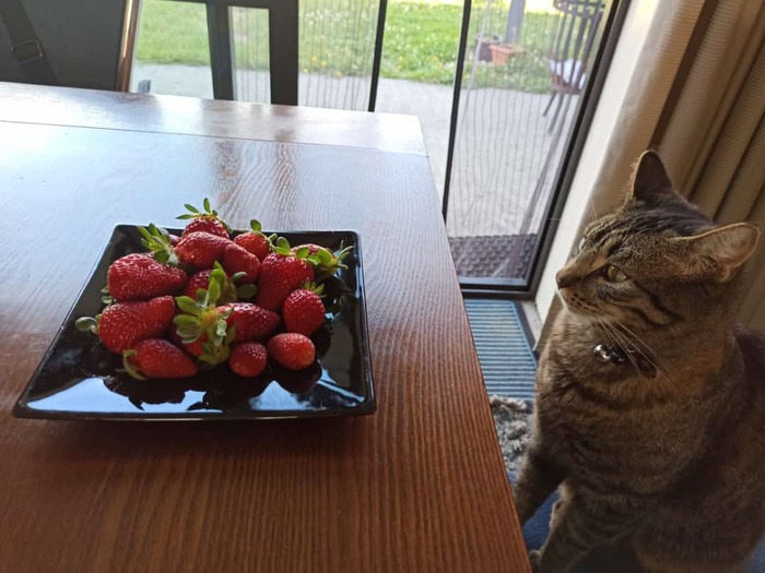 ��������� � �������� �����