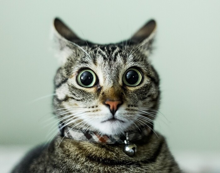 ? ,      , , , , 