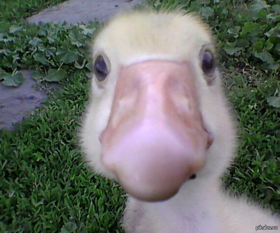 ��� ������. �����. ����� ����. ��� �������