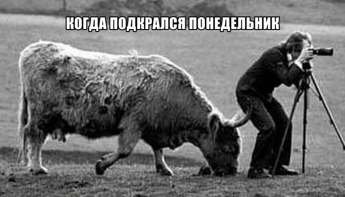 Сама Вселенная не любит понедельники