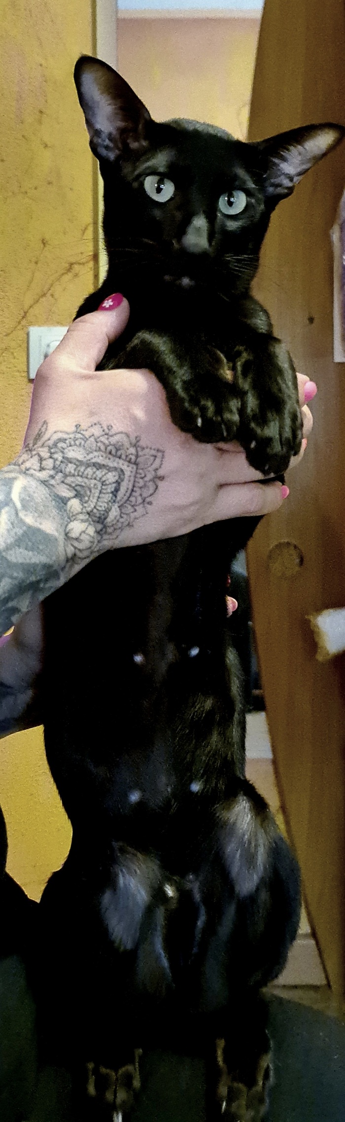 �������