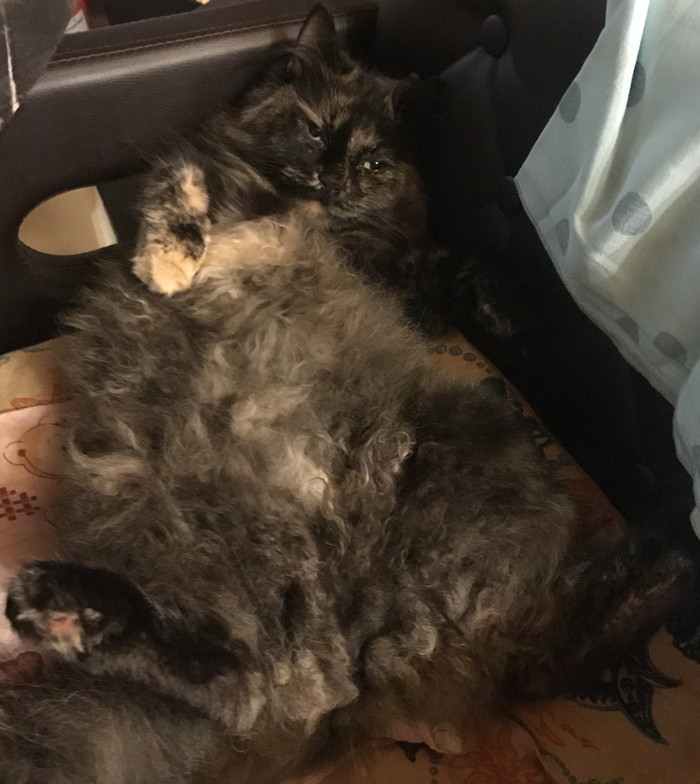 ��� ������ ��� �����?