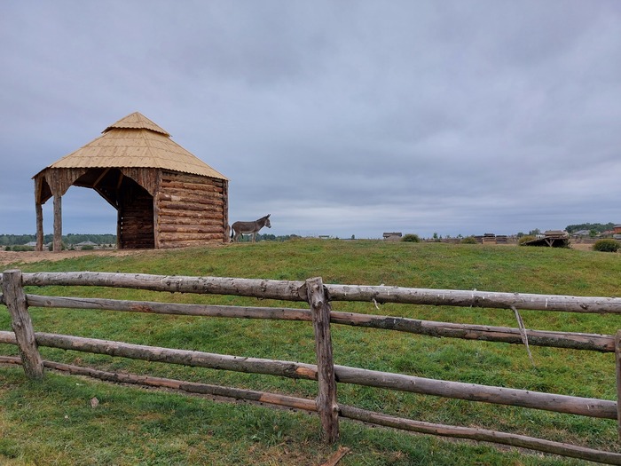 Ослик из Баранович