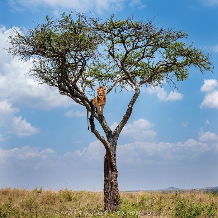 Снимите меня!