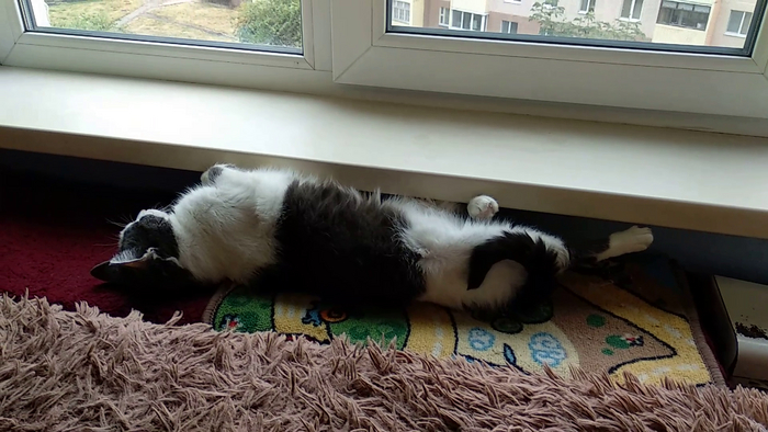 Самое теплое местечко...