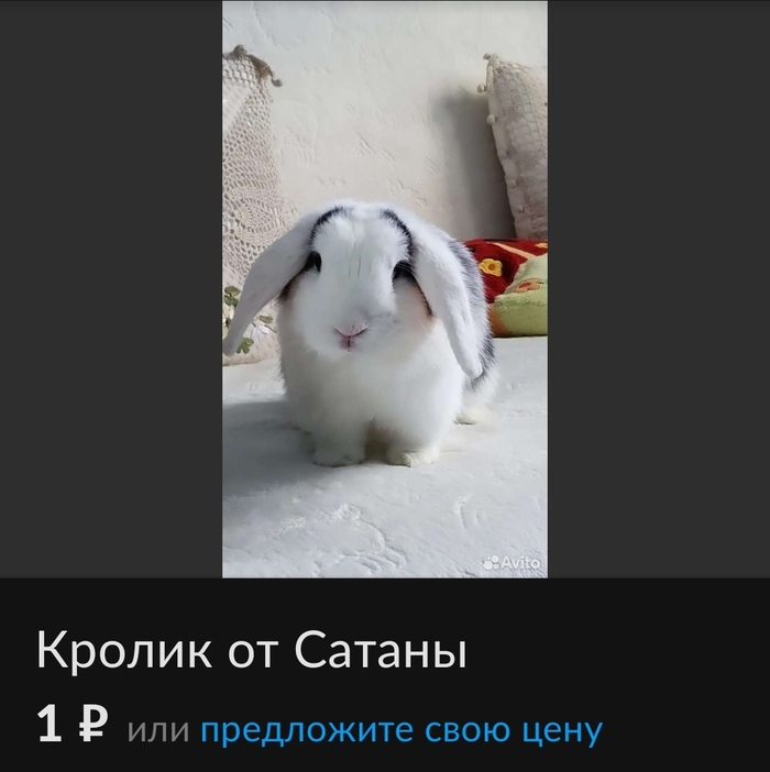    ? ,   ,   , , ,  , 