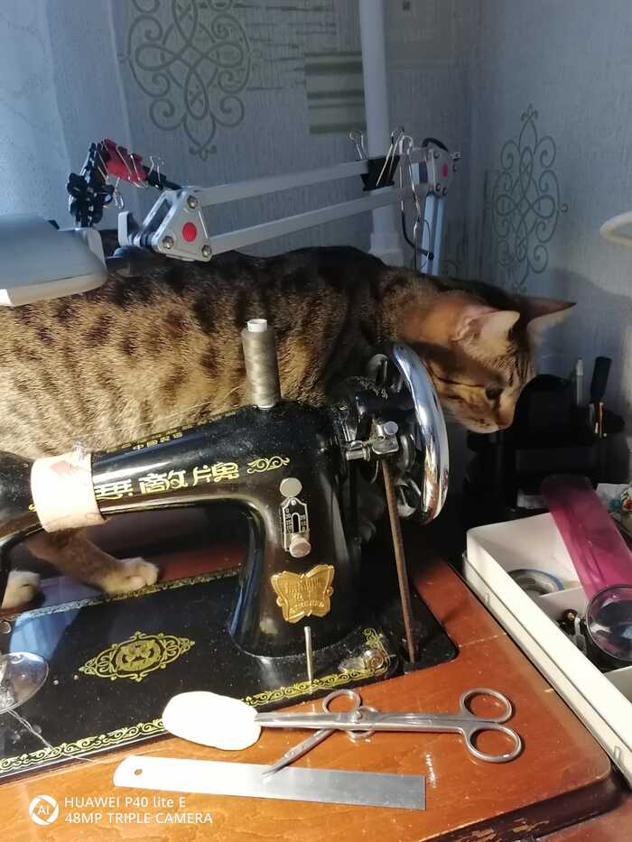 ��� � ������� �������