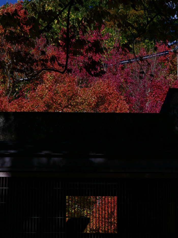 ������ ����� :3