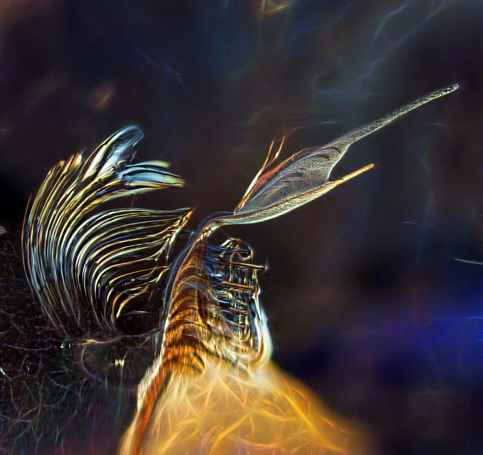 Хвост древнего неизвестного