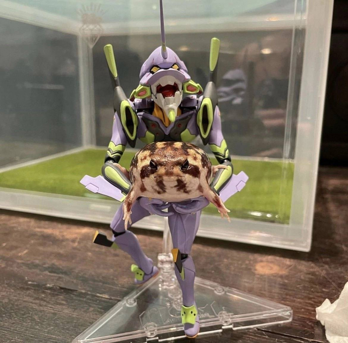 It's wednesday my dudes...