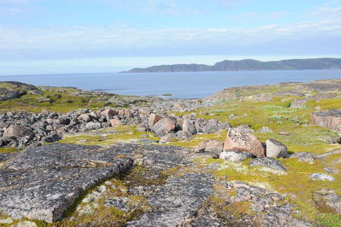 Опа, у меня подписчик появился) Ну, для тебя, дорогой друг!