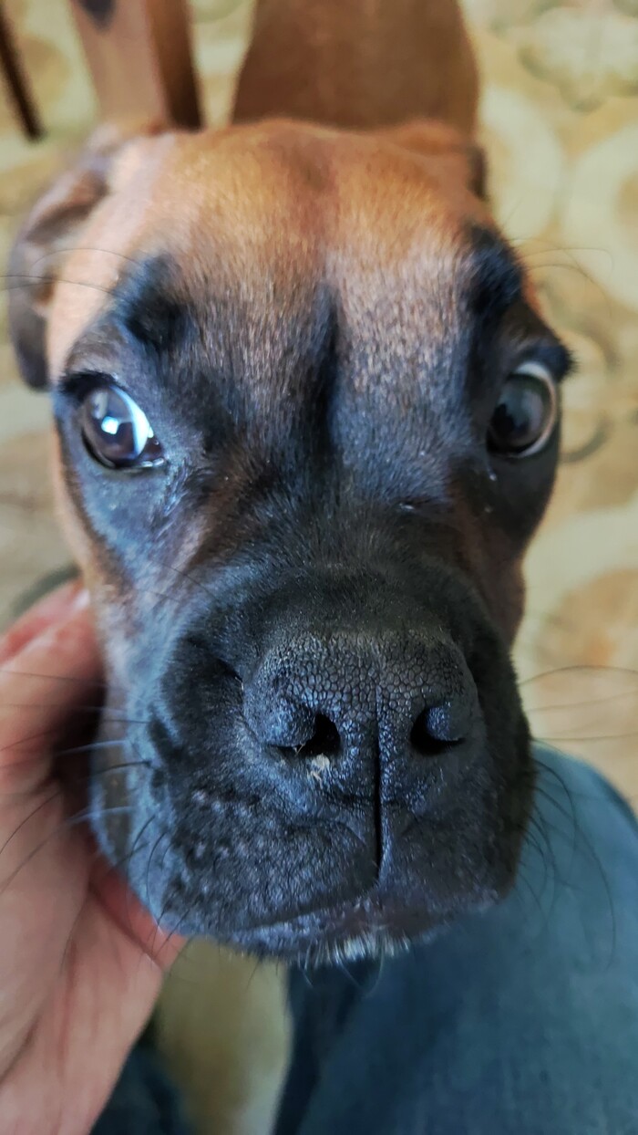 ���� ������