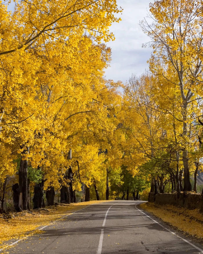 Золотая осень в Дагестане