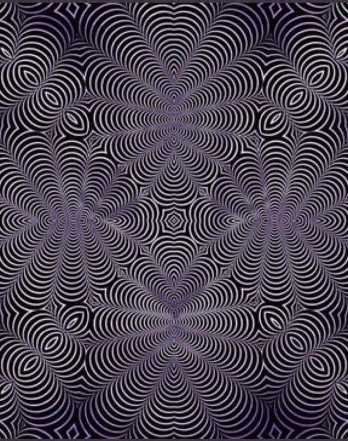 Кота нашёл, а сова где?...