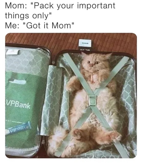 ���� ������?