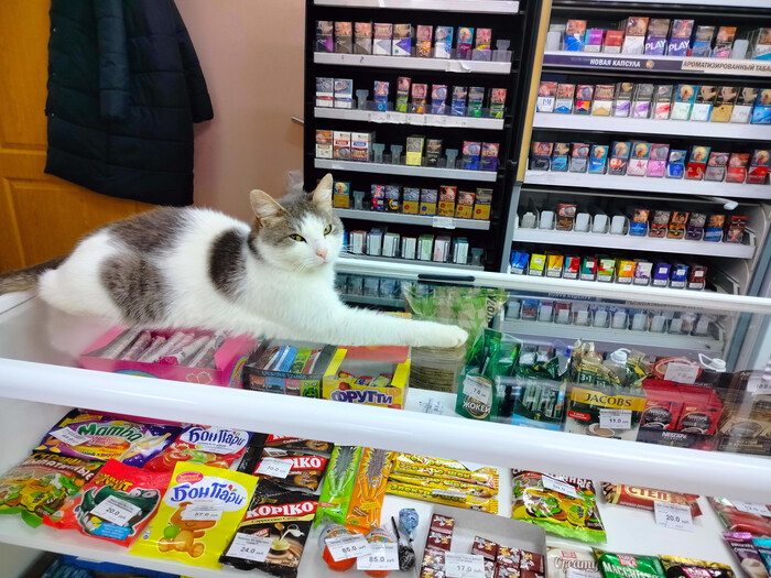 �������� ��������