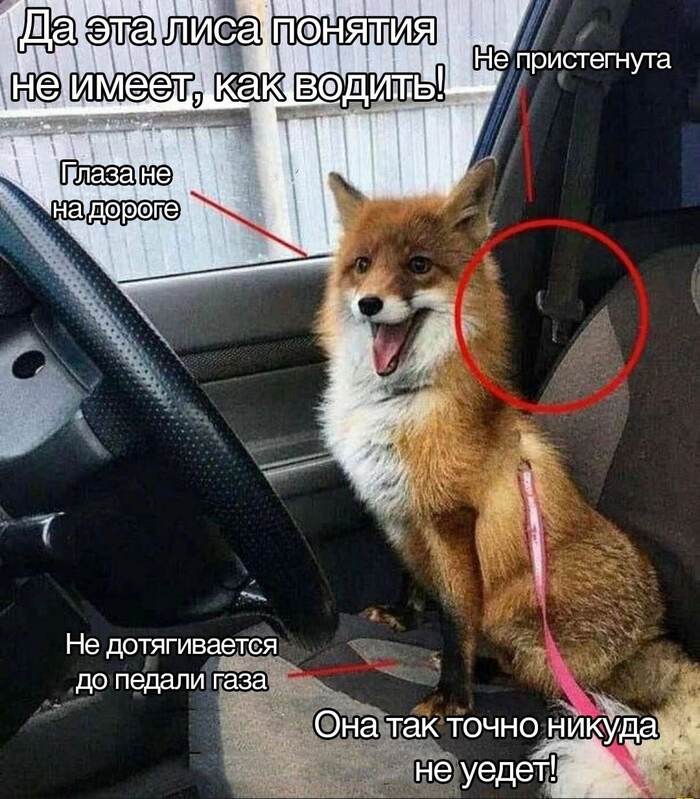 ������ ��� ������������ �����!