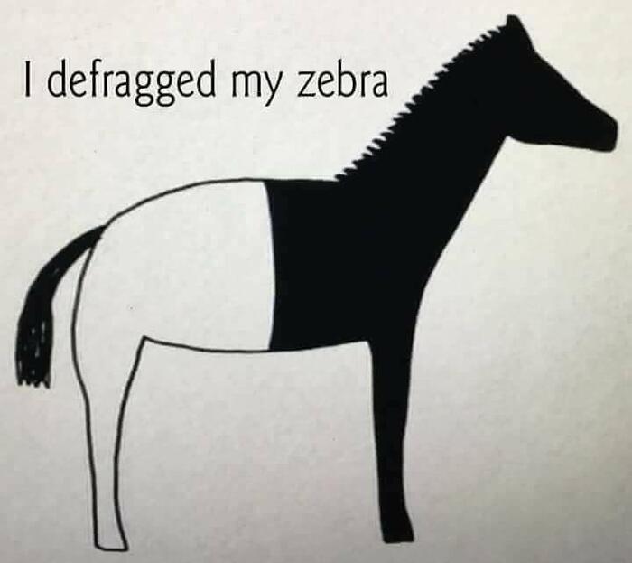 Зебра после дефрагментации