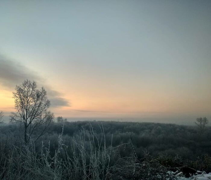 �������� ����