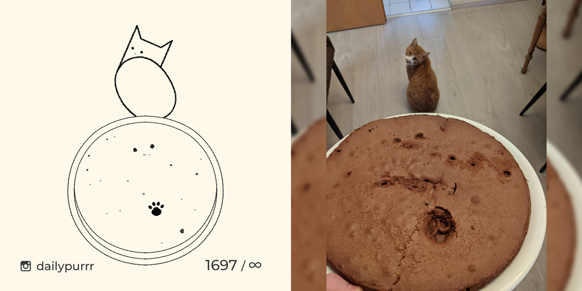 Как это сделать никак. Йога кошечка булочка сочетания. Dailypurrr
