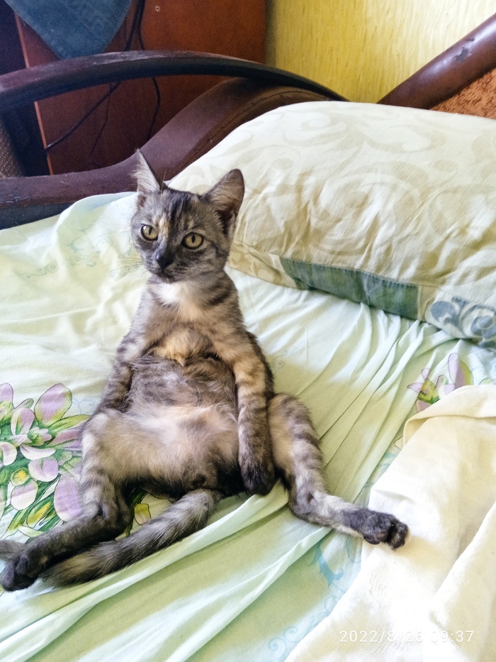  ,  , , , , 