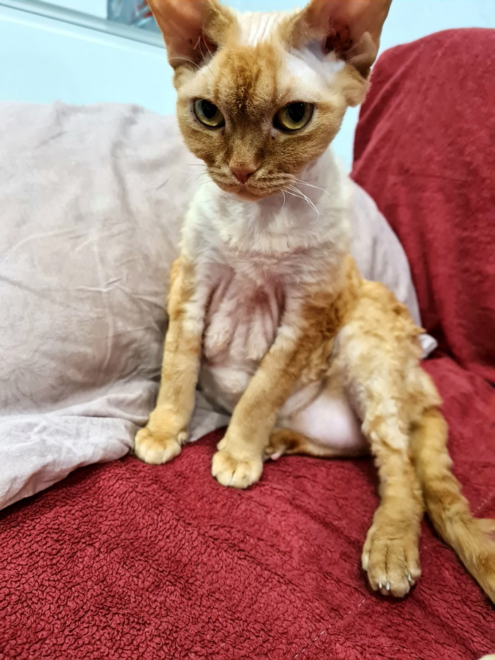 Хорошо сидим