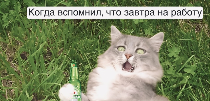 Веселье с привкусом фрустрации