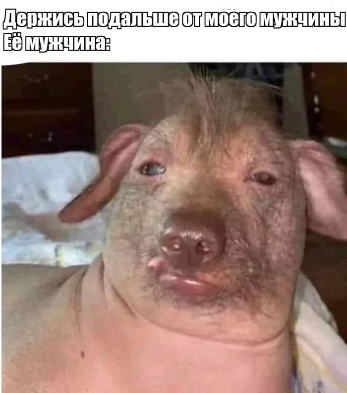   ,   ,   , 
