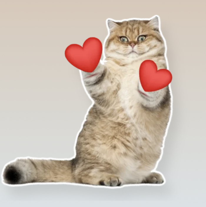 Как вы планировали/планируете рождение нового человека?