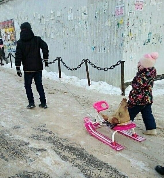     .   ,    .    .   ,  ,   