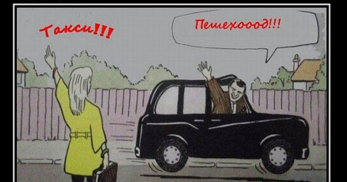 Капитан очевидность | Пикабу