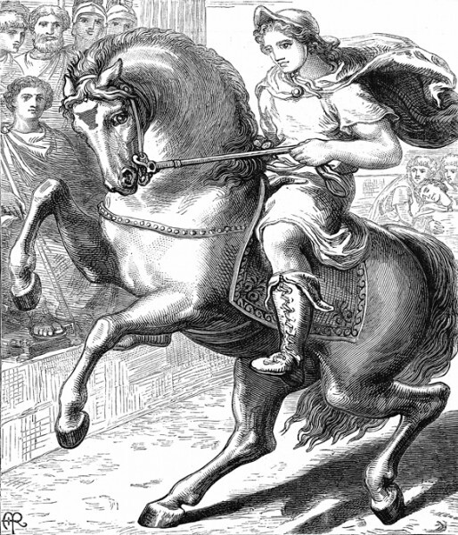 Садясь на боевого коня, будь сам подкован Александр Македонский, Буцефал, Македония, Пакистан, Лошади, Длиннопост