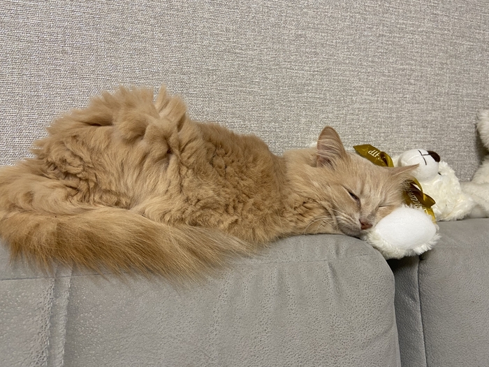 � ����� ��� �������)