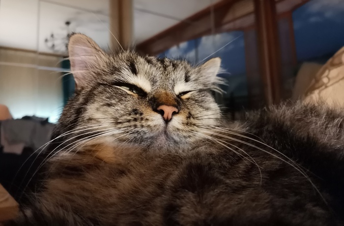 �� ���, � �����!