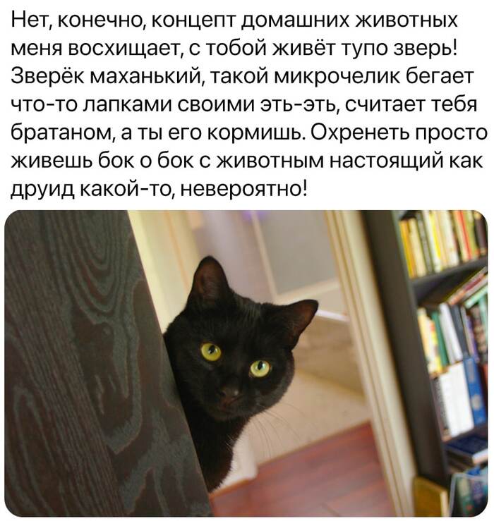     , , , , , , 