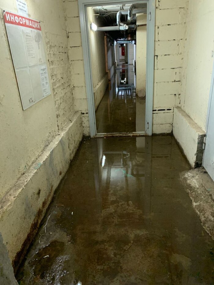 Старость или..?