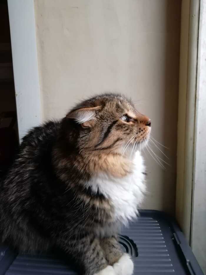   , ,  , 