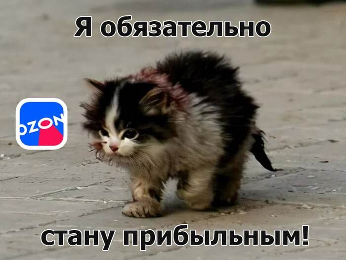 :    ?    3  2022 , ,  , , OZON, , 